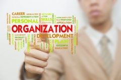 Business Organization and Goals